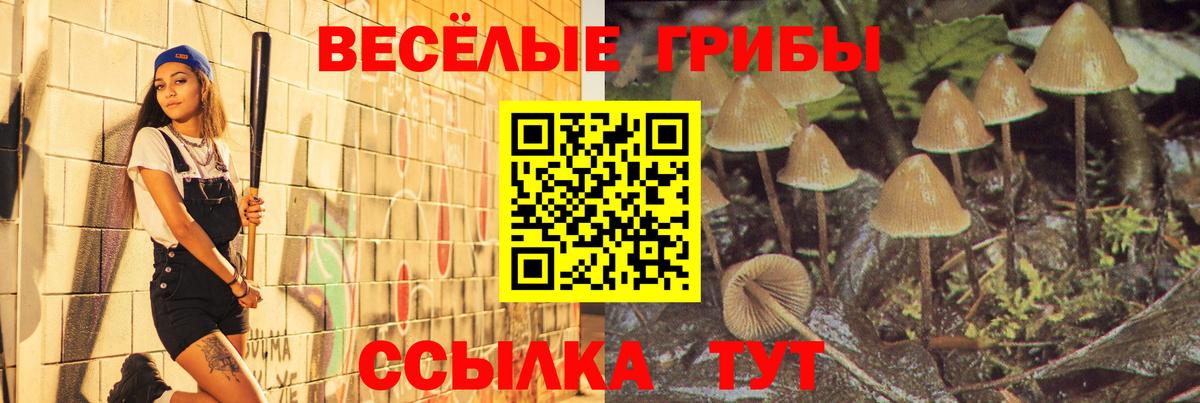 Галлюциногенные грибы Magic Shrooms  Галлюциногенные грибы прущие грибы  Вход с VPN  Шарыпово 